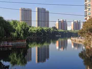 岩土工程师最新挂靠价格，市场趋势、影响因素及建议